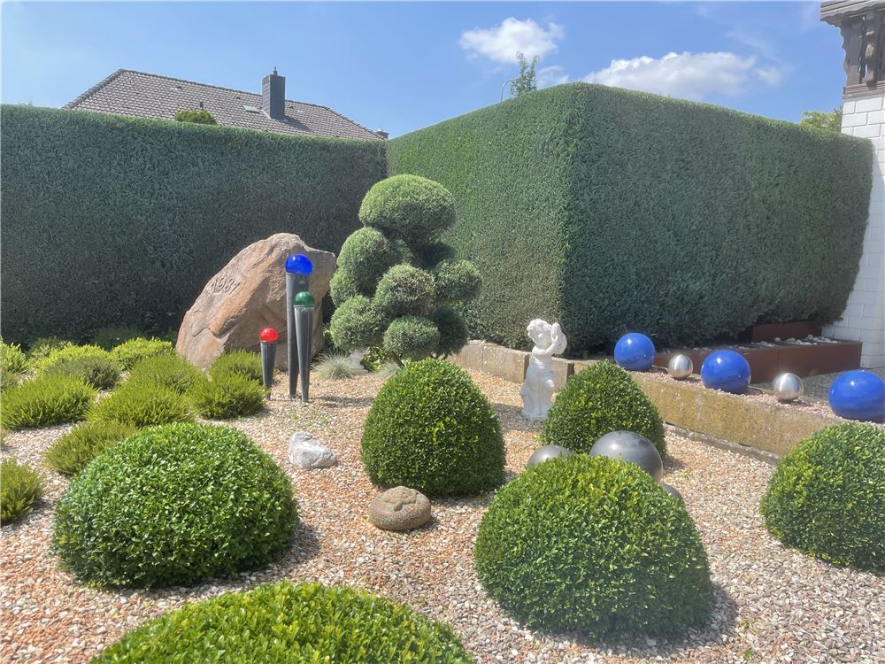 Heckenschnitt und Gartenpflege